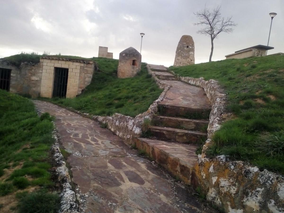 Вилла Casa Con Jardin A 5' De Aranda De Duero Кастрильо-де-ла-Вега Экстерьер фото